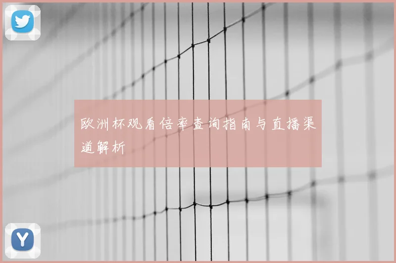 欧洲杯观看倍率查询指南与直播渠道解析