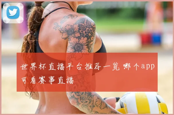 世界杯直播平台推荐一览 哪个app可看赛事直播