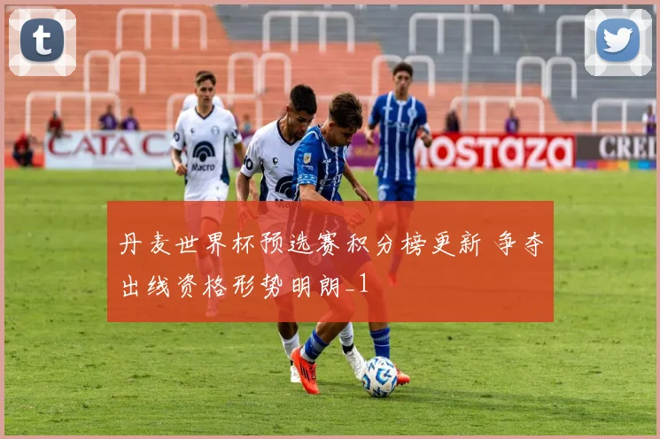 丹麦世界杯预选赛积分榜更新 争夺出线资格形势明朗_1