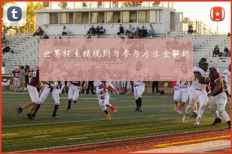 世界杯竞猜规则与参与方法全解析