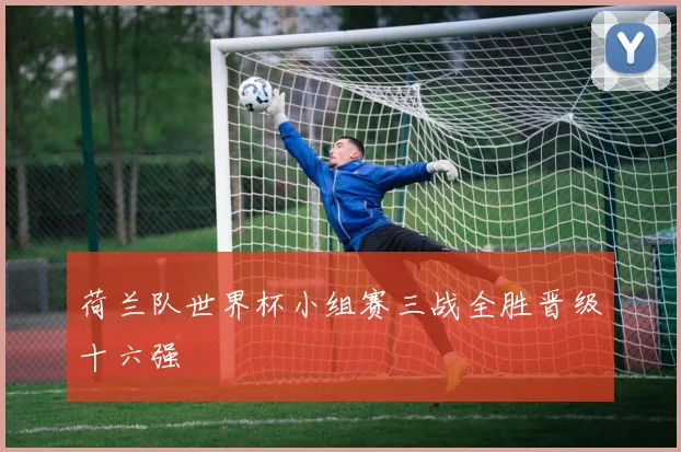 荷兰队世界杯小组赛三战全胜晋级十六强